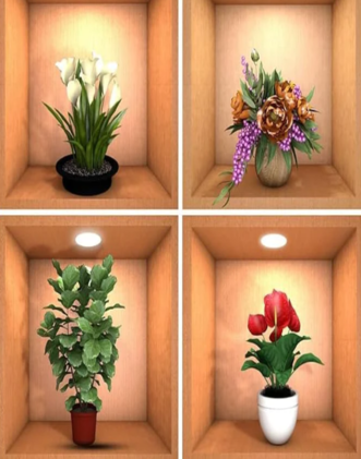 Home Décor
