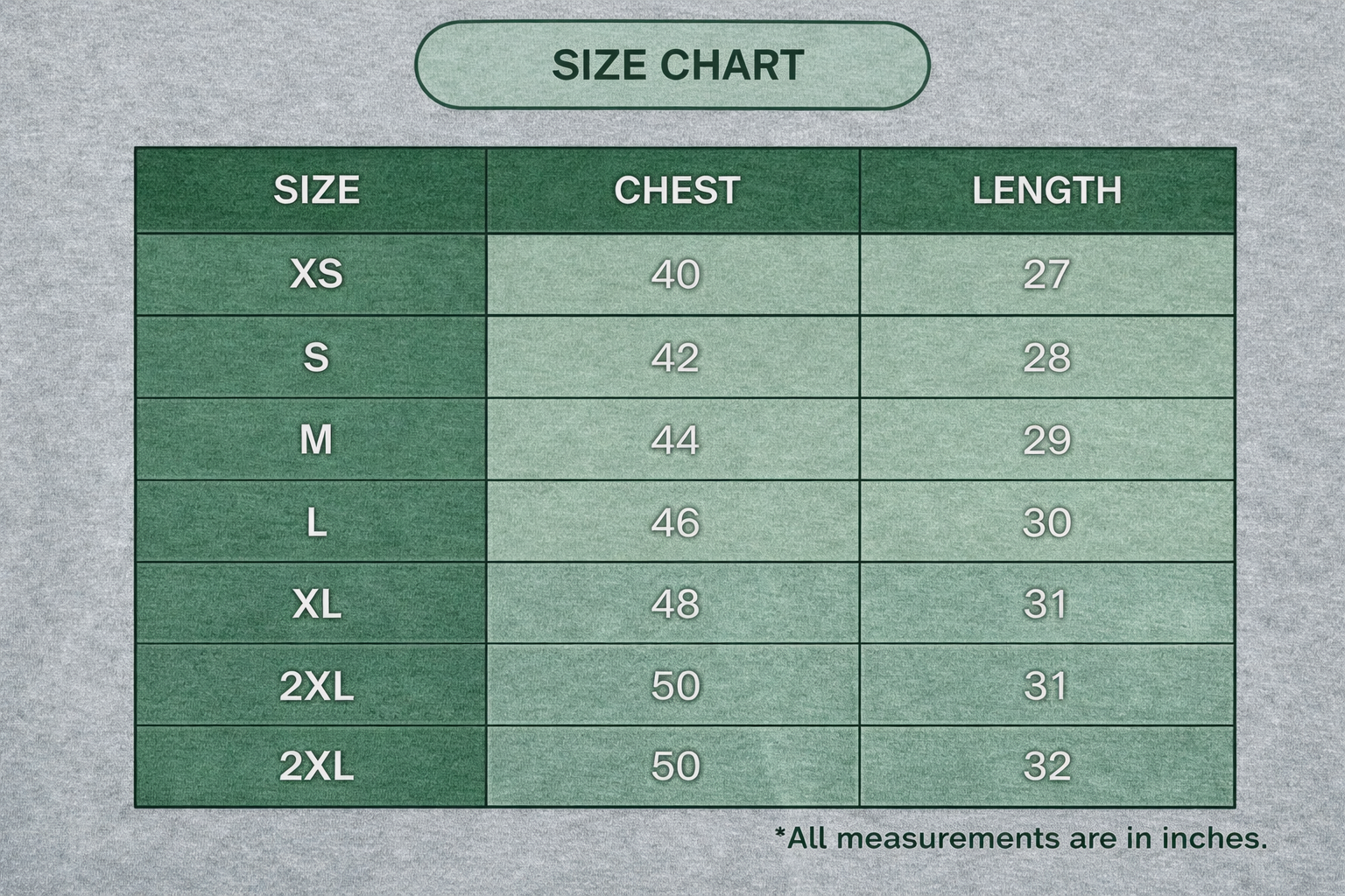 Sylish Short Sleeve T-Shirt (125403)